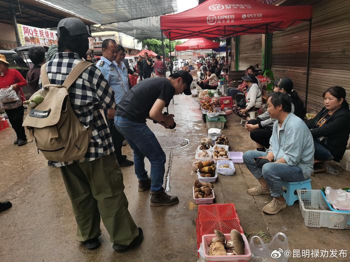 中央广播电视台拍摄组到禄劝开展取景拍摄