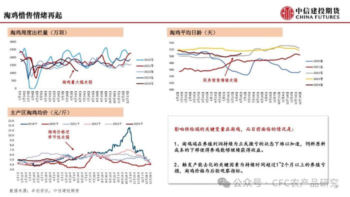 【月度策略】鸡蛋：弱预期与强现实的分化