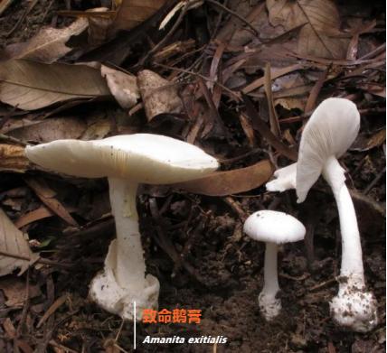 上海黄梅天有多离谱？没完了，下午仍有大雨，双休日天气→