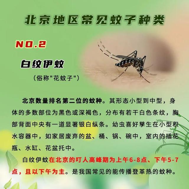 北京地区今天蚊虫叮咬风险较高