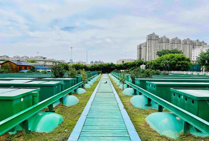 高质量发展调研行丨南昌乌沙河：臭水沟成了湿地公园