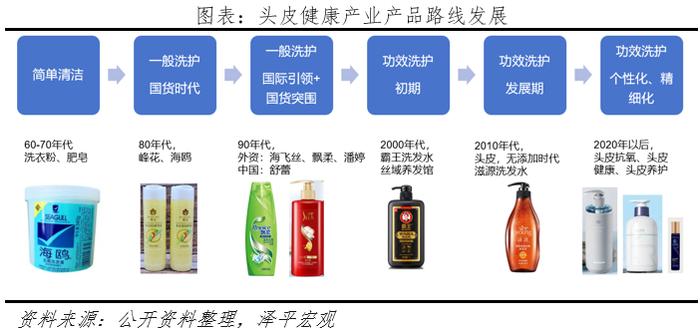 《中国头皮健康产业报告2024》