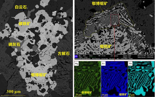 新矿物+2 我国科学家最新发现→