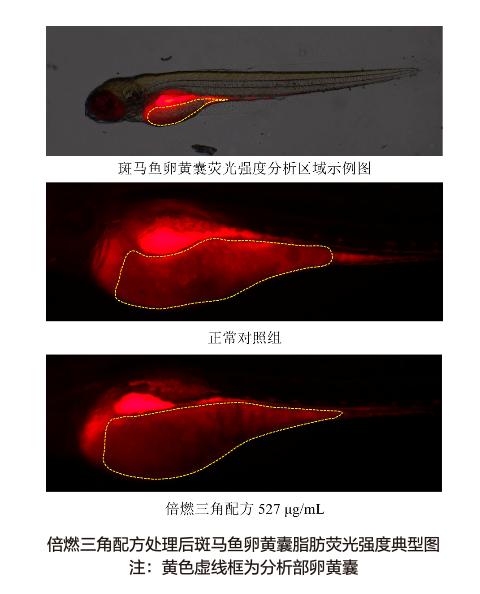 讲真，超级燃是不是“智商税”？