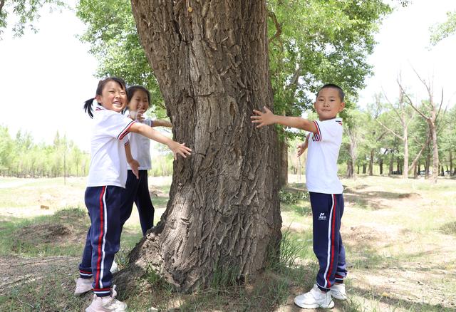 幼儿园大班毕业季丨孩子们实地上了一堂生动的生态环境保护课