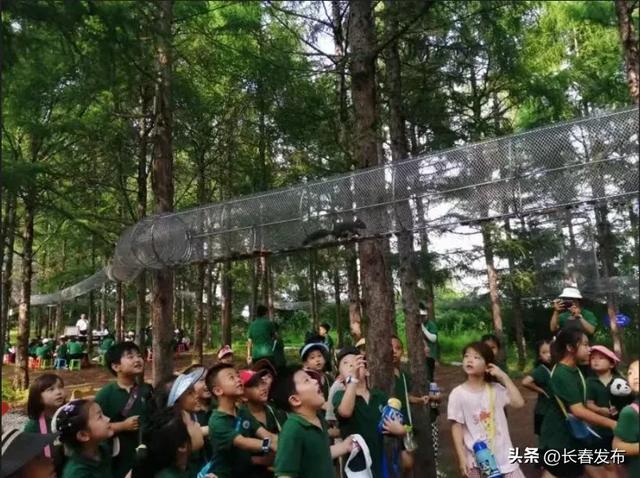 走进长春！120个网红打卡地之净月慢山里营地综合体