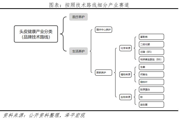 《中国头皮健康产业报告2024》