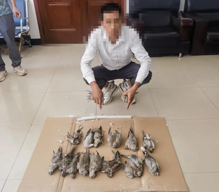 涉嫌非法猎杀灰斑鸠，3男子被鄂尔多斯警方采取刑事强制措施
