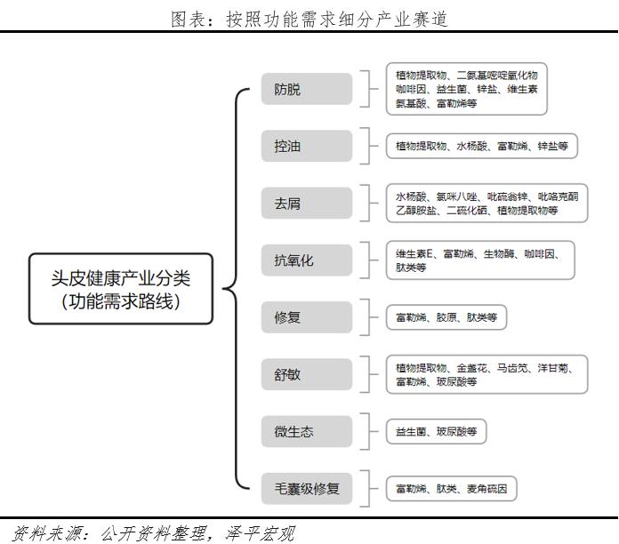 《中国头皮健康产业报告2024》