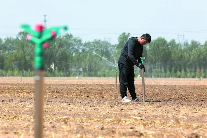 立足于早 着眼于防 致力于实——石家庄市多管齐下扎实做好防汛抗旱工作