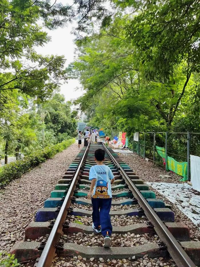 彩虹铁路、火车头…这个公园，满满的「东莞东」记忆，太好逛了！