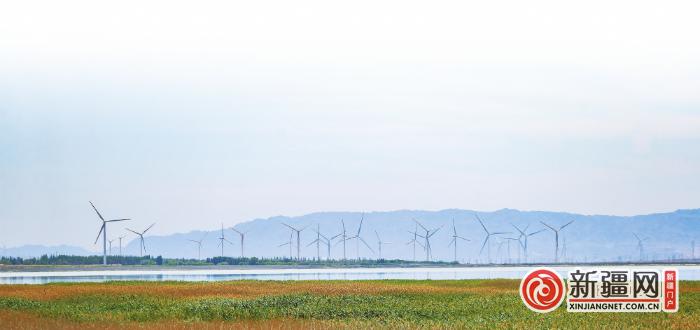 【水润乌鲁木齐——河湖生态行全媒体系列报道】碧波荡漾 水鸟啾鸣 柴窝堡湖生态美