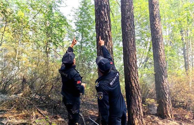 大兴安岭北部原始林区多发雷击火情 看民警如何“硬核”应对