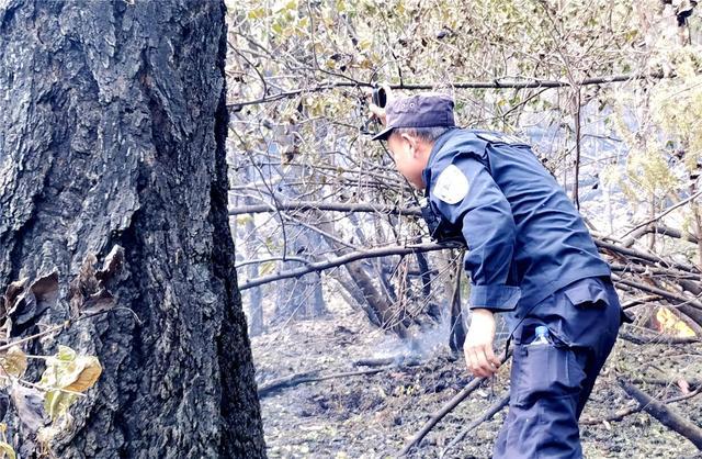 大兴安岭北部原始林区多发雷击火情 看民警如何“硬核”应对