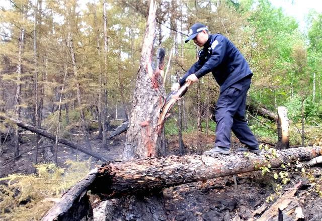 大兴安岭北部原始林区多发雷击火情 看民警如何“硬核”应对