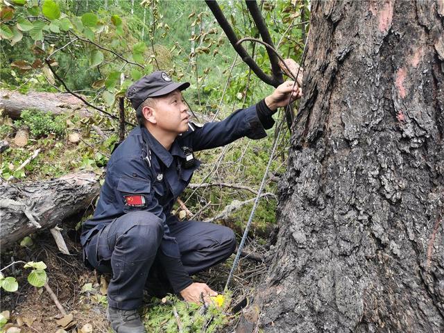 大兴安岭北部原始林区多发雷击火情 看民警如何“硬核”应对