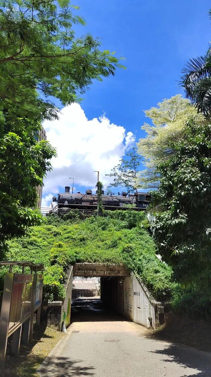 彩虹铁路、火车头…这个公园，满满的「东莞东」记忆，太好逛了！