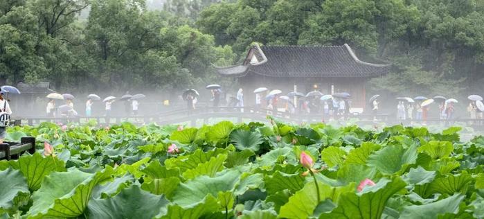 今天又换画风！杭州人高度关注：虽然是暂时的，但是每一场都要留意