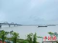 （高质量发展调研行）“浔阳江头”千年后：演绎“长江最美岸线”的双面故事
