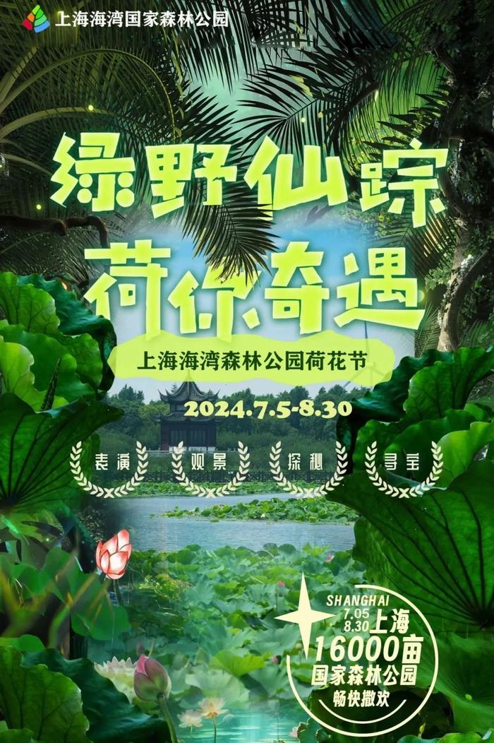 暑假开启，文旅活动上新！博物馆奇妙夜、夏季音乐节、夜游动物园……你最感兴趣哪个？