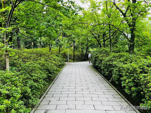 不输江南!距离成都1h,藏着一处精美的古典园林,盛夏赏荷正当时-成都最好玩的古城