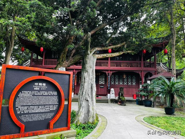 不输江南!距离成都1h,藏着一处精美的古典园林,盛夏赏荷正当时-成都最好玩的古城