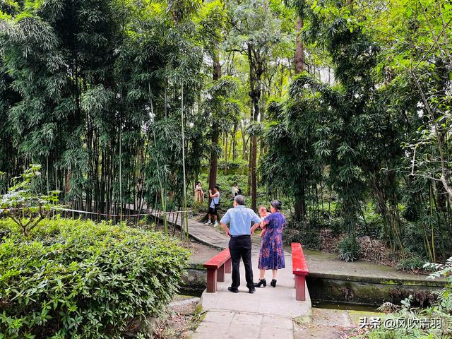 不输江南!距离成都1h,藏着一处精美的古典园林,盛夏赏荷正当时-成都最好玩的古城