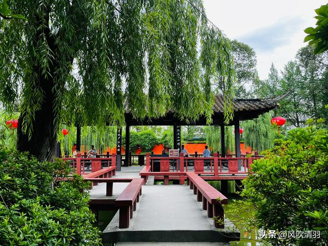 不输江南!距离成都1h,藏着一处精美的古典园林,盛夏赏荷正当时-成都最好玩的古城
