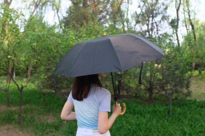 英国王室御用晴雨伞，威廉凯特同款，我入手过上百把