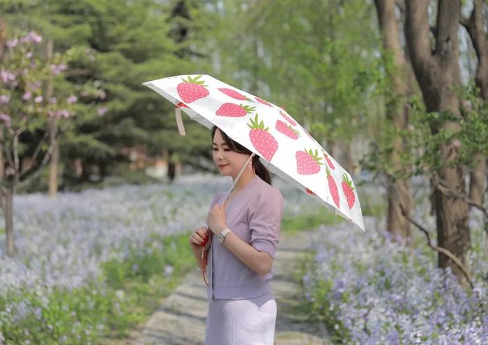 英国王室御用晴雨伞，威廉凯特同款，我入手过上百把