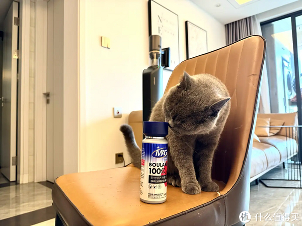 揭秘宠物保健品真相|当心!你用的猫咪布拉迪益生菌可能是假的-mag布拉迪酵母益生菌猫可以吃吗