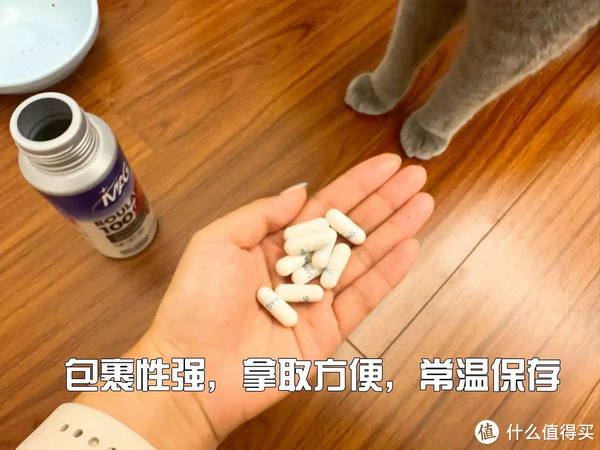 揭秘宠物保健品真相|当心!你用的猫咪布拉迪益生菌可能是假的-mag布拉迪酵母益生菌猫可以吃吗