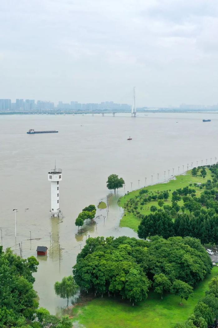 武汉江滩这些闸口已封堵，禁止机动车入园