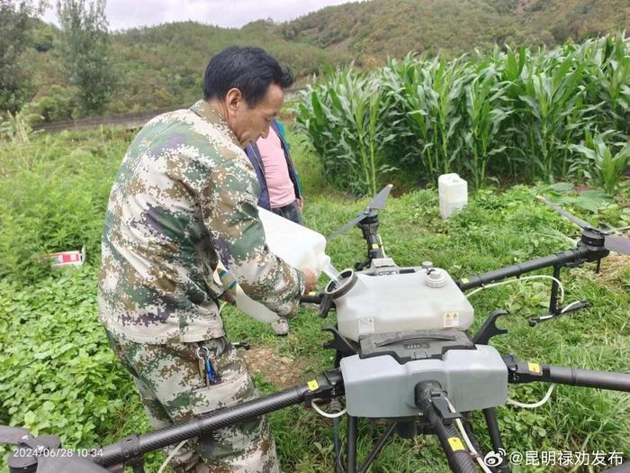禄劝皎平渡镇：无人机喷洒农药 为粮食生产插上科技翅膀