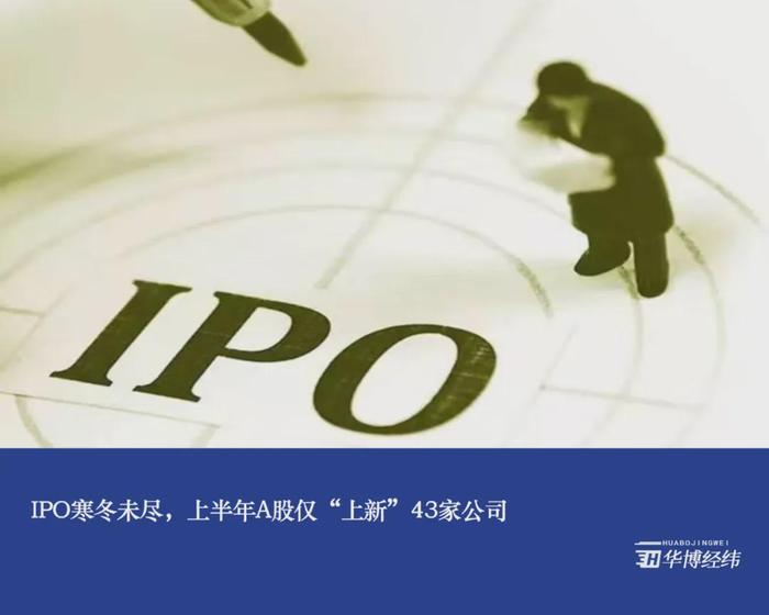 IPO寒冬未尽，上半年A股仅“上新”43家公司