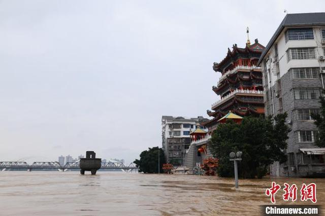 广西国家级重点防洪城今夏遭遇三次洪水“考验”