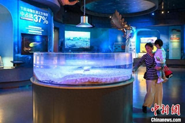澄江化石地自然遗产博物馆迎暑期参观热潮