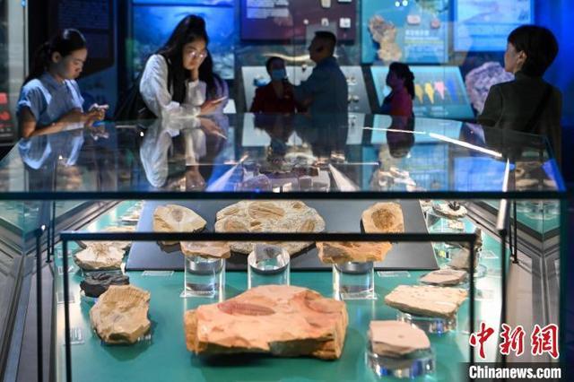 澄江化石地自然遗产博物馆迎暑期参观热潮