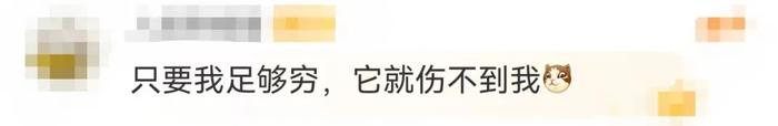 LV全线提价，这次没排队？三年涨10次，顾客：麻木了！