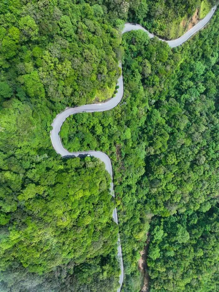 在云南，一键切换夏日“薄荷曼波”