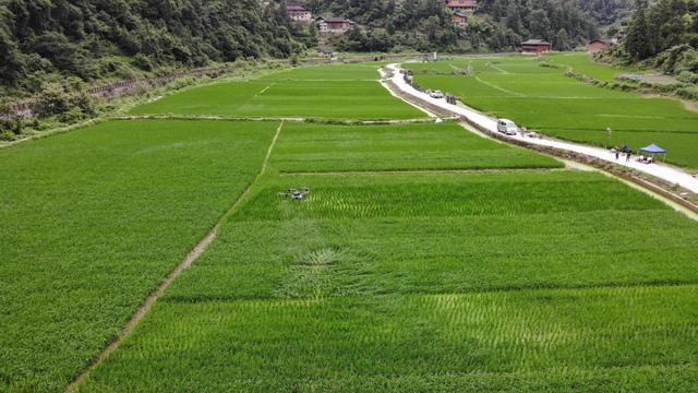 贵州台江：百台机械联防作业 助力水稻生产