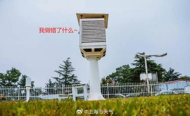 上海徐家汇体感温度44.1℃，百叶箱温度为啥是38.4℃？