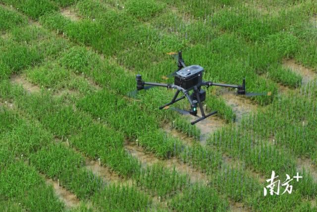 从低空“领飞”未来！广东省低空经济高质量发展大会7月4日举行