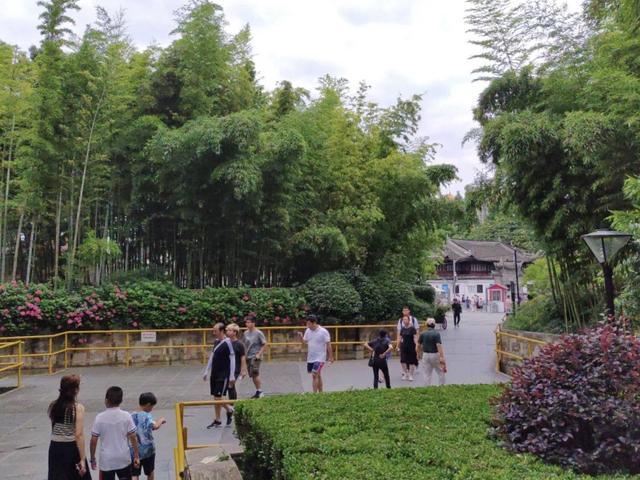 连接外滩和豫园，上海古城公园实现24小时开放