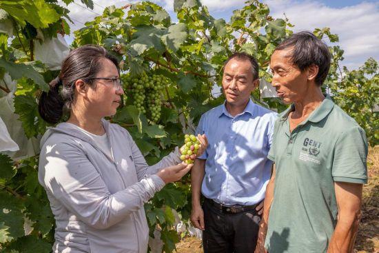 湖南泸溪：三级科技专家联动服务 助力灾后恢复生产