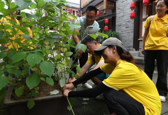 重庆：非遗夏布的千年织造技艺 吸引大学生参观体验