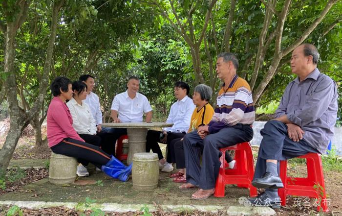 高州：持续巩固乡村绿化成效，乡村“一时绿”变四季青