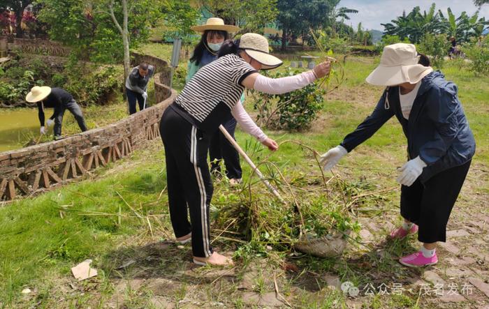 高州：持续巩固乡村绿化成效，乡村“一时绿”变四季青