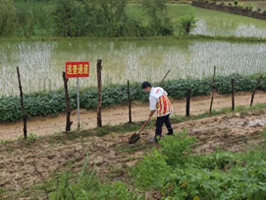 江西南昌武阳镇：“逆行向前”筑牢防汛“安全堤坝”