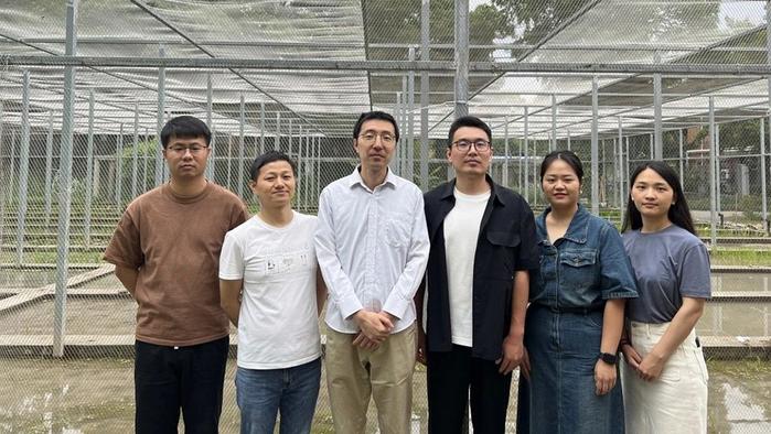 黄学辉团队在《科学》刊文：研究1.8万份水稻“混血儿”，探索遗传构架